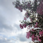 Photo n°4 de l'avis de Cristian.' fait le 10/06/2023 à 20:50 sur le  Clapsy à Albisola Superiore