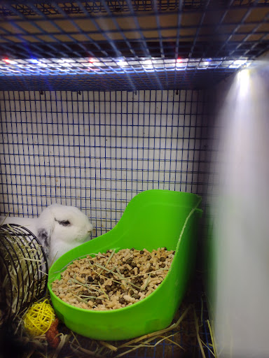 Pet Supply Store «Pickering Valley Feed & Farm Store», reviews and photos, 305 Gordon Dr, Exton, PA 19341, USA