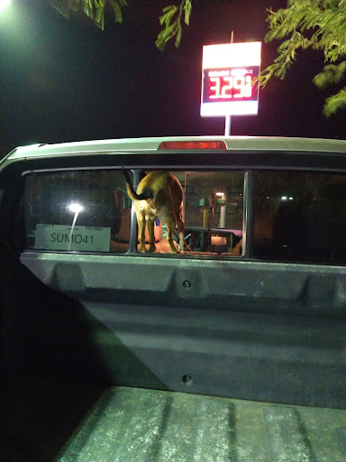 Gas Station «Circle K», reviews and photos, 12707 W Grand Ave, Surprise, AZ 85374, USA