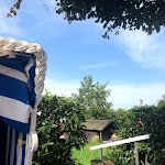 Photo n°2 de l'avis de Lina.a fait le 13/09/2020 à 15:38 sur le  Beautiful life in the country à Neuendeich