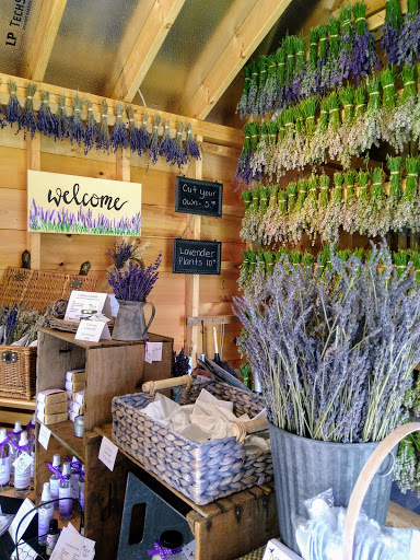 Moore Manor Lavender