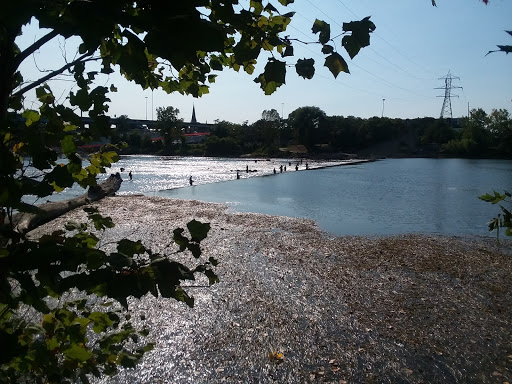 Tourist Attraction «Fish Ladder Park Grand Rapids», reviews and photos, 560 Front Ave NW, Grand Rapids, MI 49504, USA