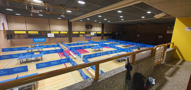 Comentarii opinii despre Salle Omnisports