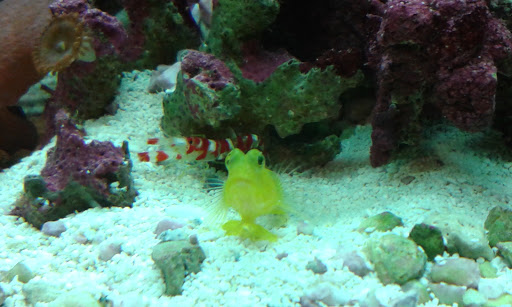 Pet Store «Tanks Pet Supply», reviews and photos, 628 S Main St, Princeton, IL 61356, USA