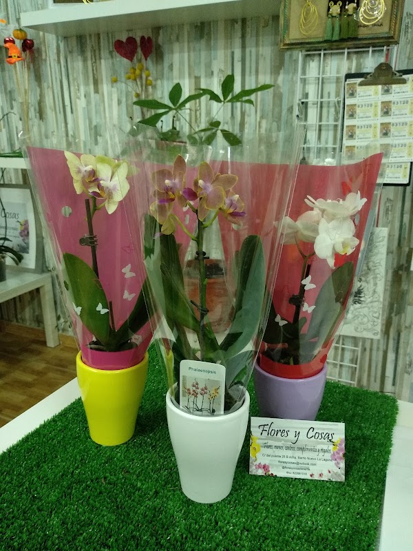 Imagen de Flores y Cosas Floristería Barrio Nuevo (18 de 31)