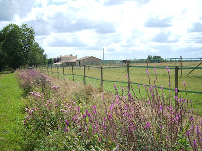 l'Arche à Souméras