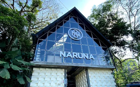 Naruna image