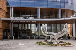 Essentia Health-St. Mary's Medical Center (Duluth, Building B) image