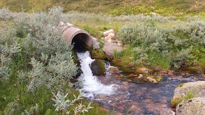 Photos of Pallastunturi