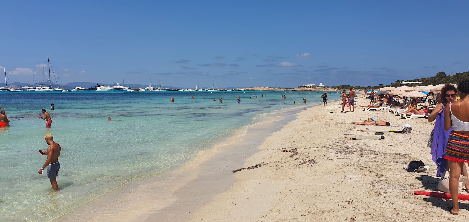 Fotografie cu Playa Es Cavall d'En Borras - locul popular printre cunoscătorii de relaxare