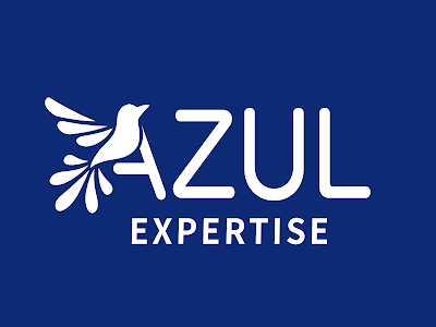 AZUL EXPERTISE à Bouc-Bel-Air