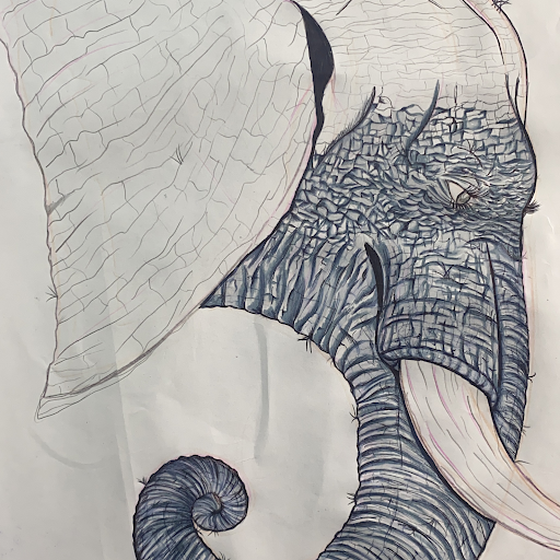 Explore make a wish tattoo ideas, creative tattoo ideas in Jacksonville, available at Renegade Art Studio LLC