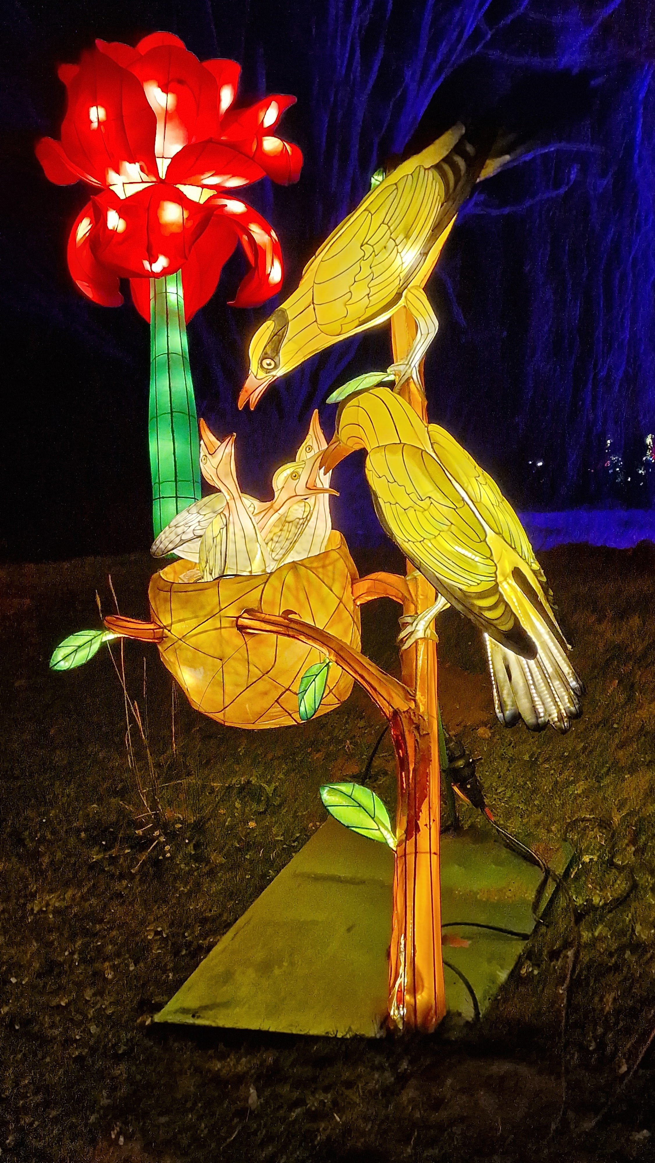 Photo n° 8 de l'avis de Marie.i fait le 29/12/2023 à 15:13