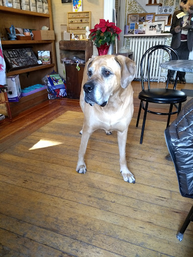 Coffee Shop «A New Leaf», reviews and photos, 2364 Saranac Ave, Lake Placid, NY 12946, USA