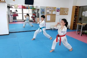 Kyokushinkaikan Akitsu Gym image