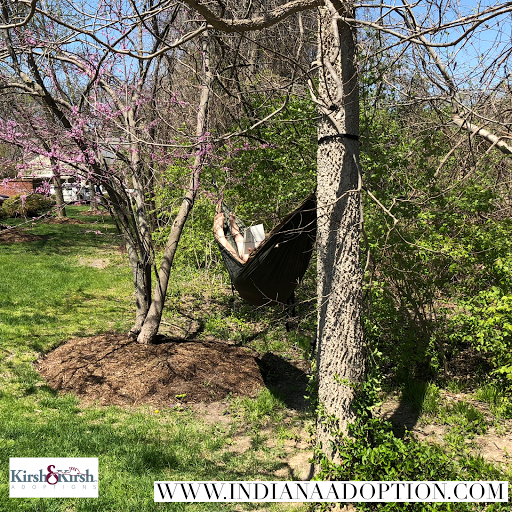 Adoption Agency «Kirsh & Kirsh, P.C. - Indiana Adoption», reviews and photos