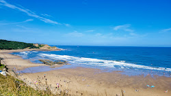 Cayton bay beach'in fotoğrafı vahşi alan