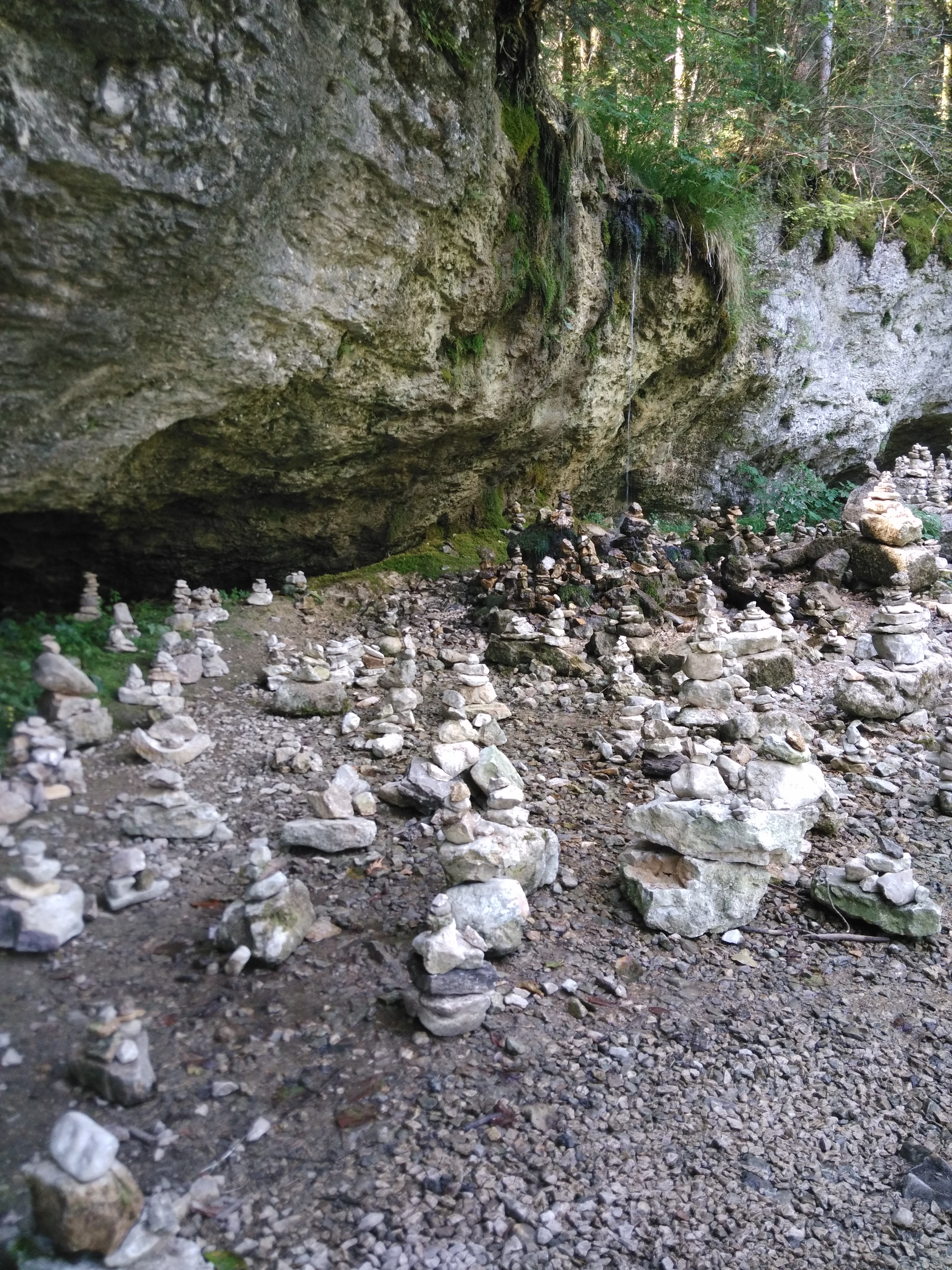 Photo n° 6 de l'avis de bonsaï.a fait le 31/07/2018 à 14:12