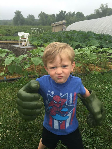 Car Dealer «Al Serra Auto Plaza», reviews and photos, 6167 Saginaw Rd, Grand Blanc, MI 48439, USA