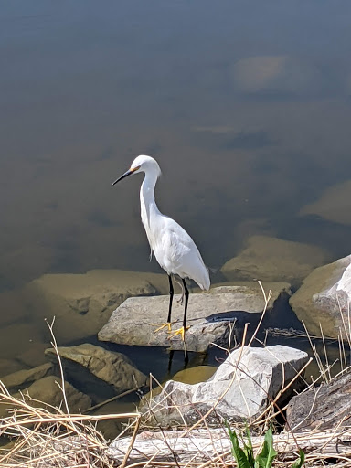 Park «Westminster City Park», reviews and photos, 10455 N Sheridan Blvd, Westminster, CO 80020, USA