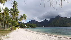 Foto di Plage de Ta'ahiamanu con abbastanza pulita livello di pulizia