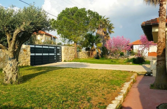 תמונה