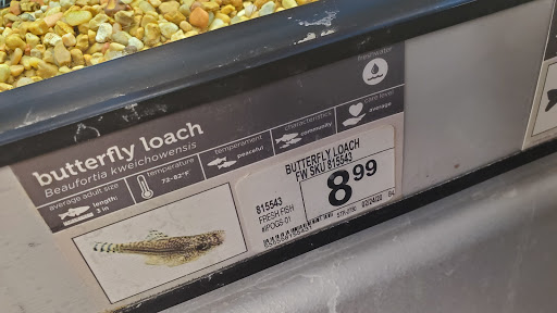 Pet Supply Store «Petco Animal Supplies», reviews and photos, 12551 Jefferson Ave #119, Newport News, VA 23602, USA