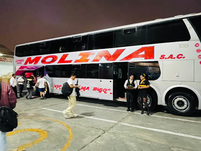 Transportes Molina - La Victoria