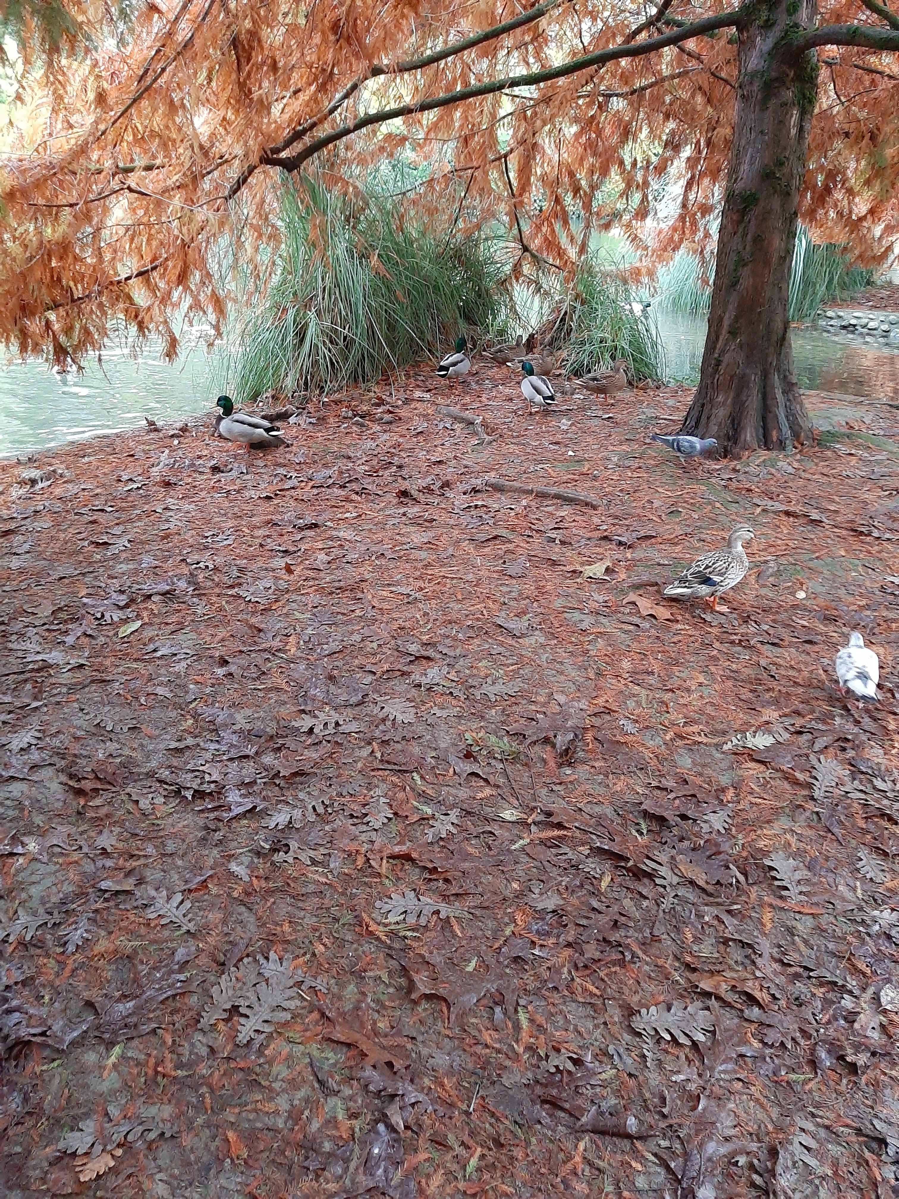 Photo n° 20 de l'avis de Nicole.r fait le 18/11/2019 à 17:46