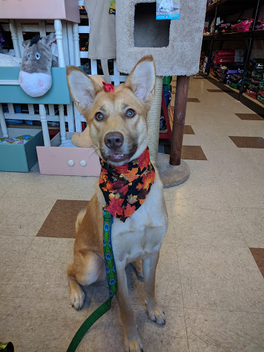 Pet Supply Store «Bubbles2biscuits», reviews and photos, 21897 S Diamond Lake Rd, Rogers, MN 55374, USA