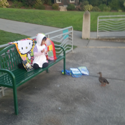 Park «Clyde Beach Park», reviews and photos, 2 92nd Ave NE, Bellevue, WA 98004, USA