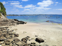 Photo de Cures Beach avec un rivage droit