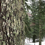 Photo n° 15 de l'avis de Halim.o fait le 04/02/2021 à 17:00 pour Bois Mary à Le Claux