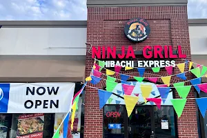 Ninja Grill Hibachi Express image