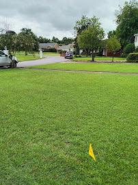 Tomas Landscaping services