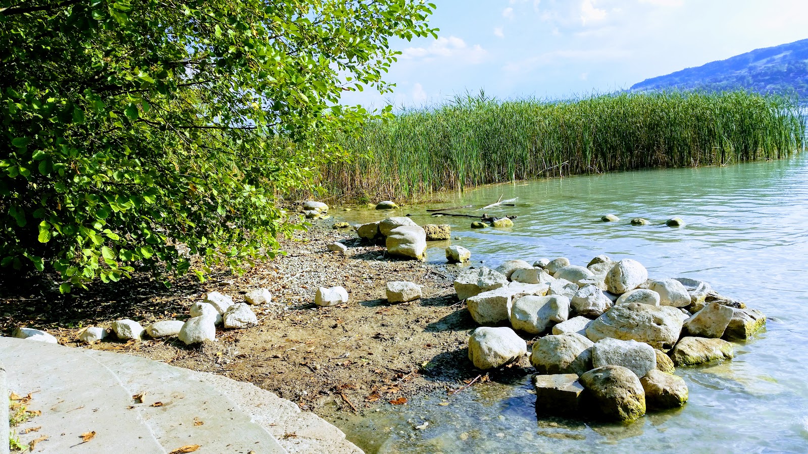 Strandbad Brestenberg'in fotoğrafı vahşi alan