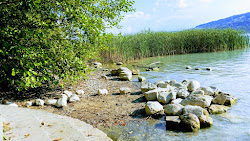 Strandbad Brestenberg'in fotoğrafı vahşi alan