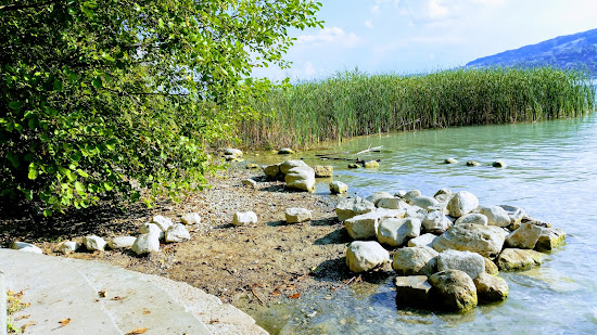 Strandbad Brestenberg