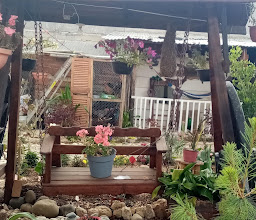 Salón campestre photo