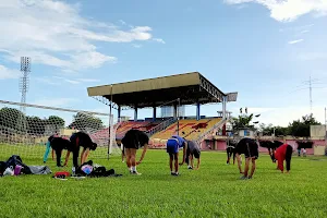 Vipers Training Camp image