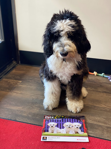 Insurance Agency «Ryan Gelbrich - State Farm Insurance Agent», reviews and photos