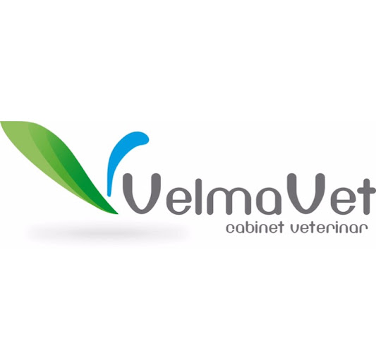 VelmaVet Cabinet Veterinar Pietonal Transilvaniei - Veterinar