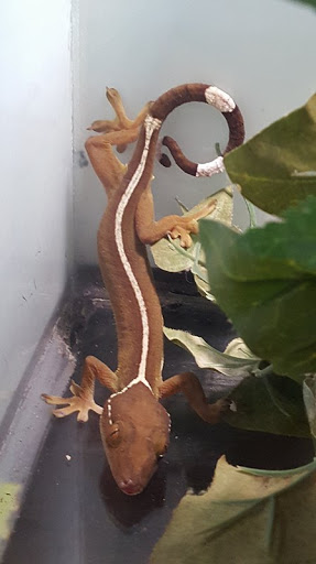 Pet Store «Tanks Pet Supply», reviews and photos, 628 S Main St, Princeton, IL 61356, USA