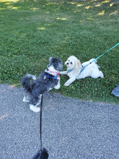 Park «Dr. James A. Dillon Park», reviews and photos, 6001 Edenshall Ln, Noblesville, IN 46060, USA