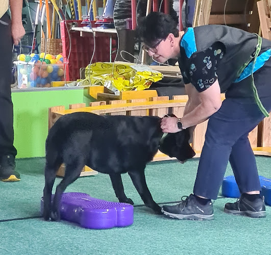 Hundeschule Käser Beat - Delsberg