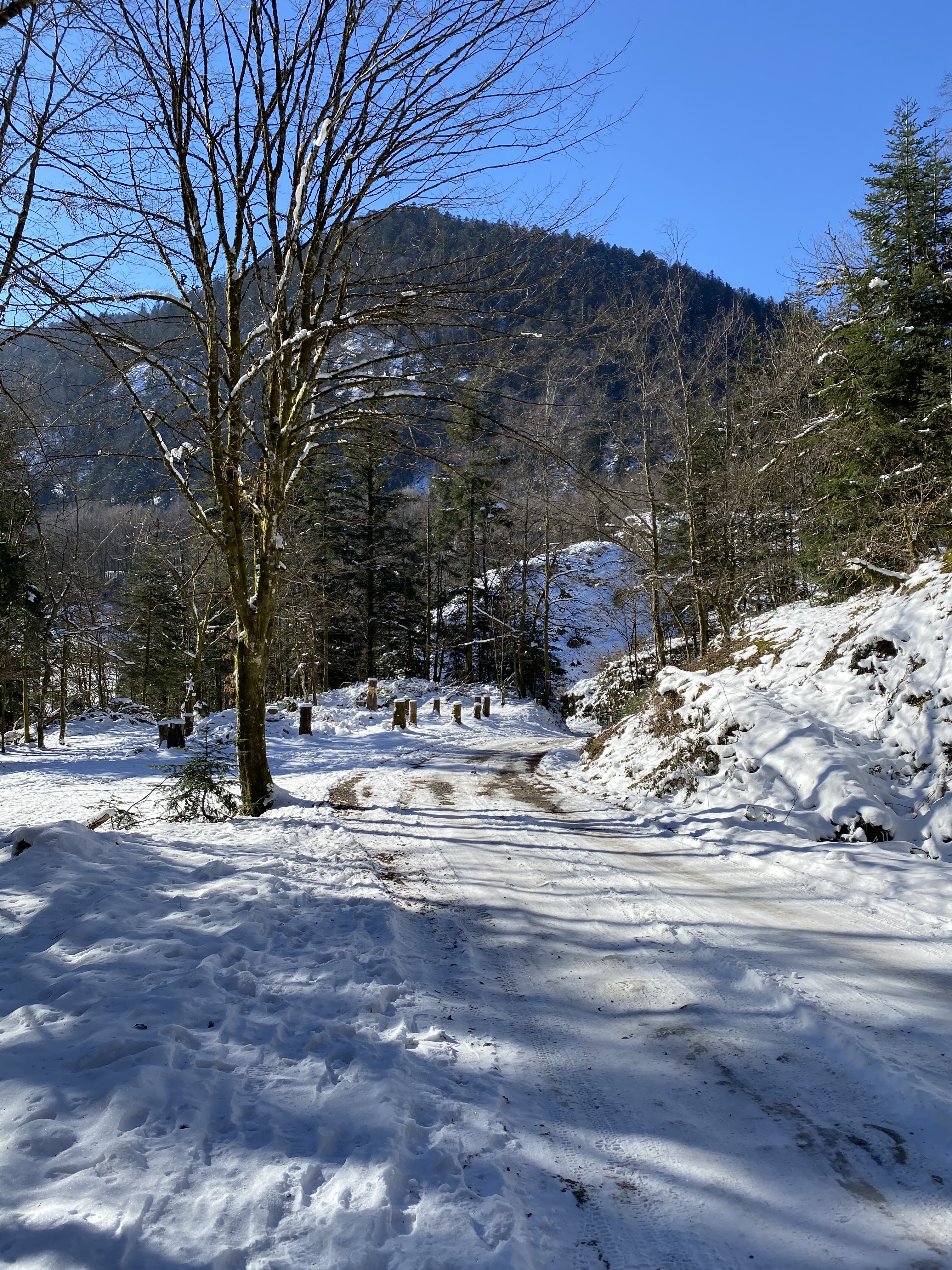 Photo n° 1 de l'avis de Rebeka.. fait le 14/02/2021 à 14:27