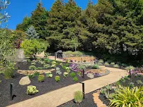 Bay Breeze Landscaping - Car repair in , San Francisco - Rated 0.0/5