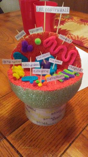 Craft Store «Michaels», reviews and photos, 1721 S Stapley Dr, Mesa, AZ 85204, USA