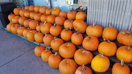 Department Store «TOPS Friendly Markets», reviews and photos, 230 High St, Waterford, PA 16441, USA