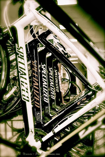 Bicycle Store «The Bike Shop», reviews and photos, 1735 Ellington Rd, South Windsor, CT 06074, USA